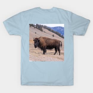 Bison Buffalo Adult Photograph T-Shirt